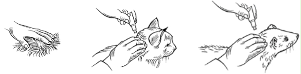 Et bilde som inneholder sketch, strektegning, strektegninger, FargeleggingsbokKI-generert innhold kan være feil.