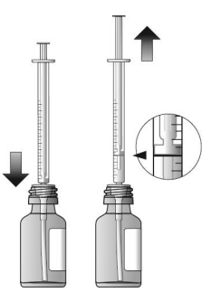 Image: import-5.jpg