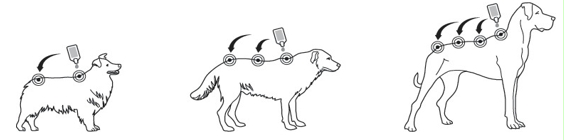 Image: import-3.jpg