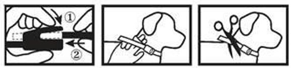 Et bilde som inneholder tekstAutomatisk generert beskrivelse