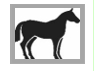 Image: import-1.jpg