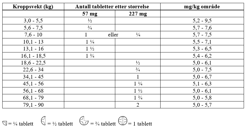 Et bilde som inneholder tekst, kvittering, skjermbildeAutomatisk generert beskrivelse
