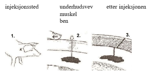 Image: import-1.jpg