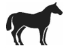 Image: import-2.jpg
