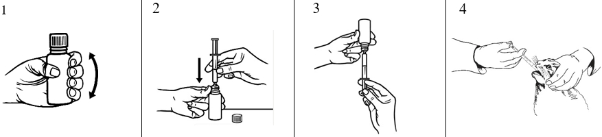 Image: import-2.jpg