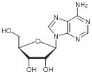 Adenosin