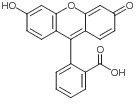Fluorescein
