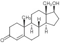 Testosteron